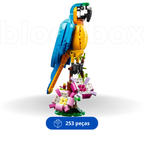 Papagaio | 253PCS