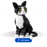 Gato Preto e Branco | 801PCS