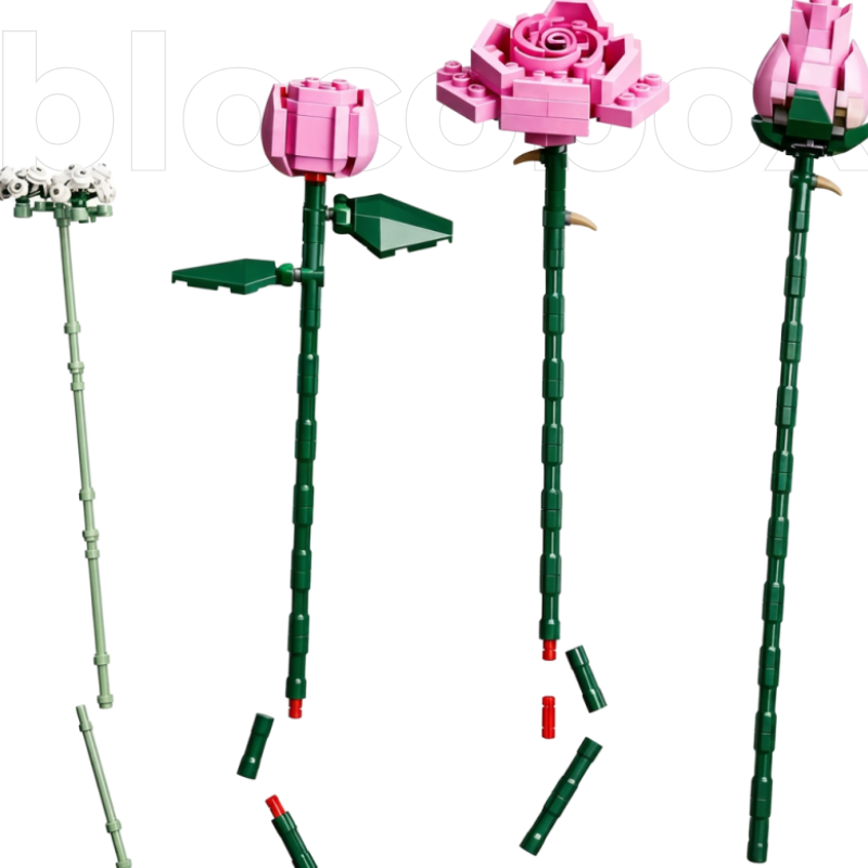 Buquê de Rosas Cor de Rosa | 789PCS