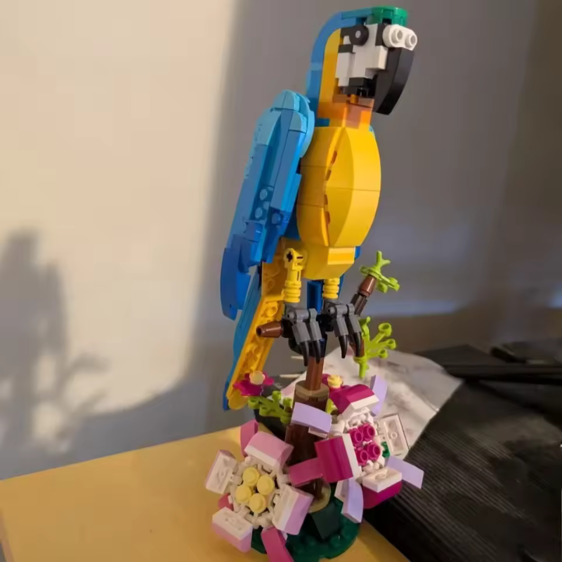 Papagaio | 253PCS