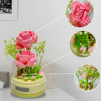 Flores de  Rosas Eternas | 317 PCS