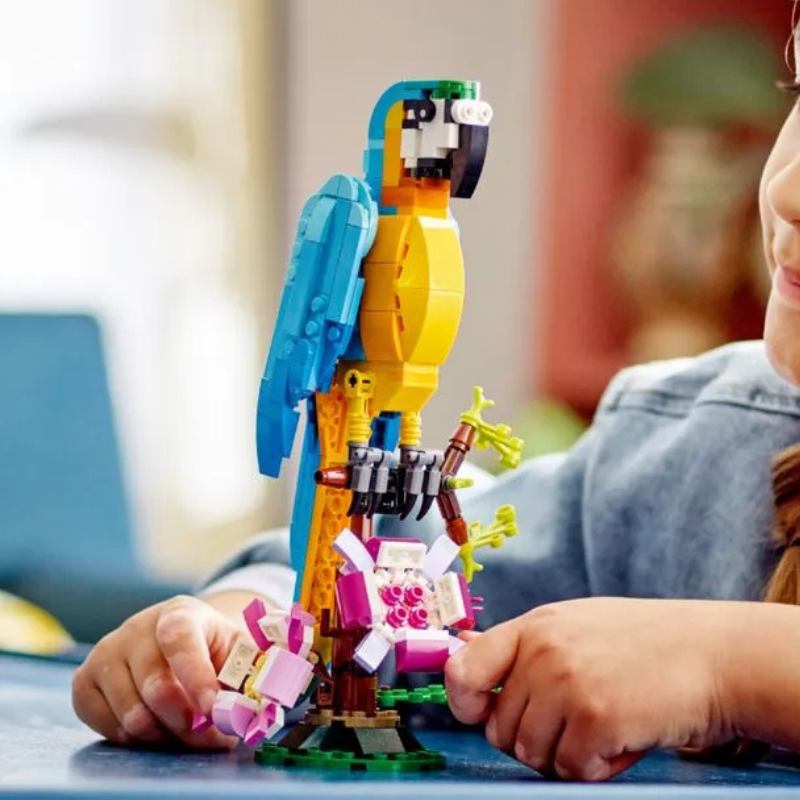 Papagaio | 253PCS