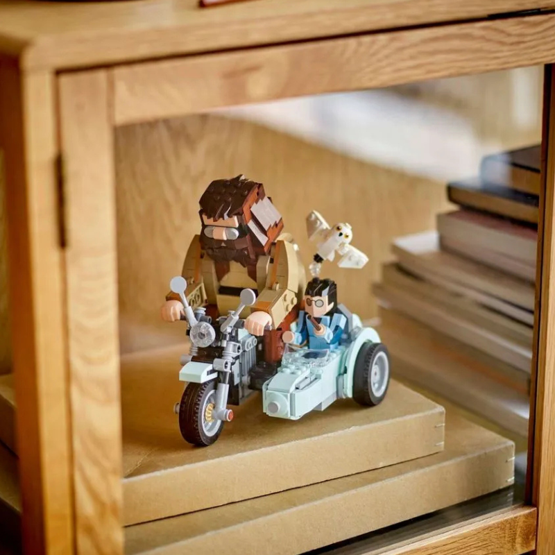 Moto de Hagrid e Harry | 617PCS