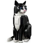 Gato de Smoking  | 1710PCS